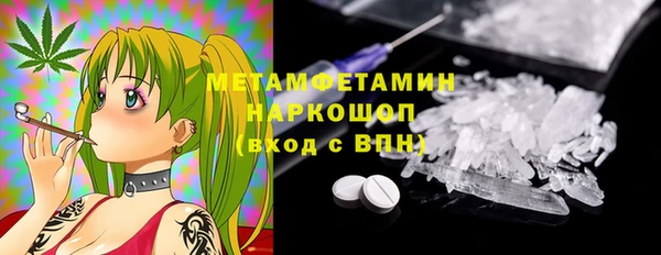 МДПВ Бородино