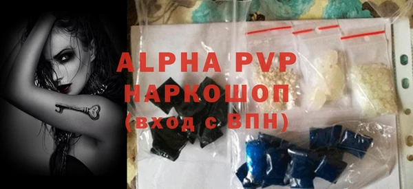 молекула духа Богородицк