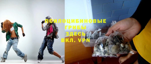 молекула духа Богородицк
