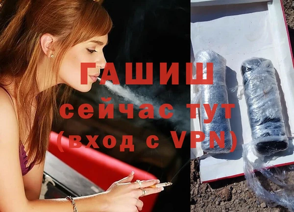 молекула духа Богородицк