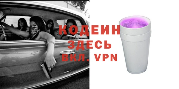 МДПВ Бородино