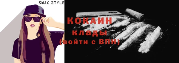 МДПВ Бородино