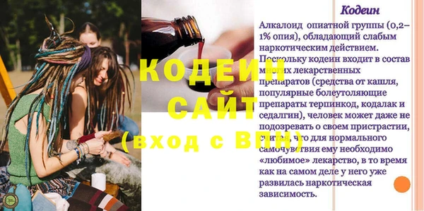 молекула духа Богородицк