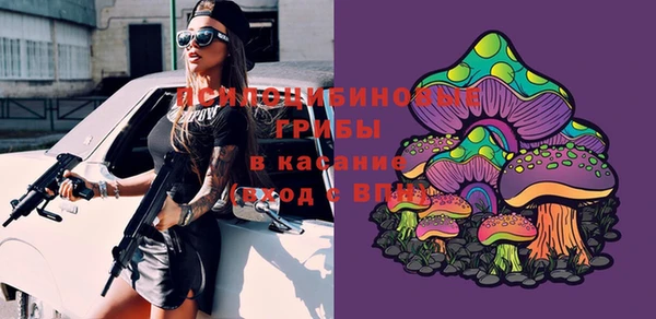 молекула духа Богородицк