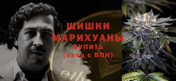 молекула духа Богородицк