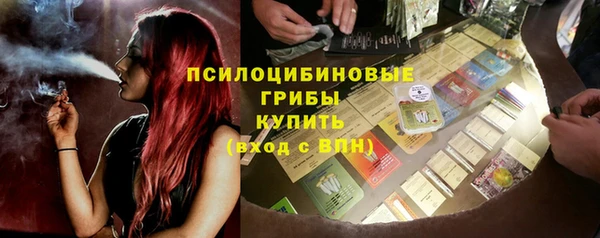 молекула духа Богородицк