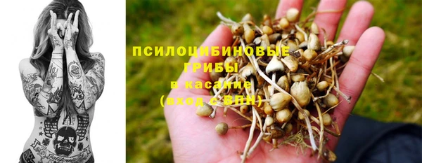 крисы Богданович