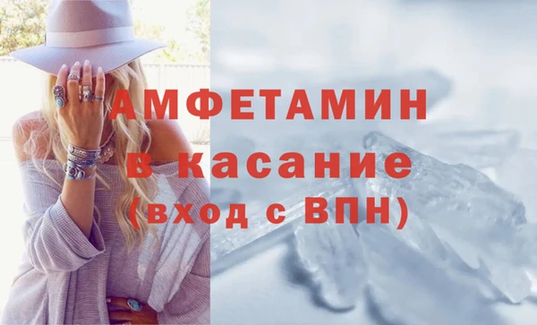 молекула духа Богородицк